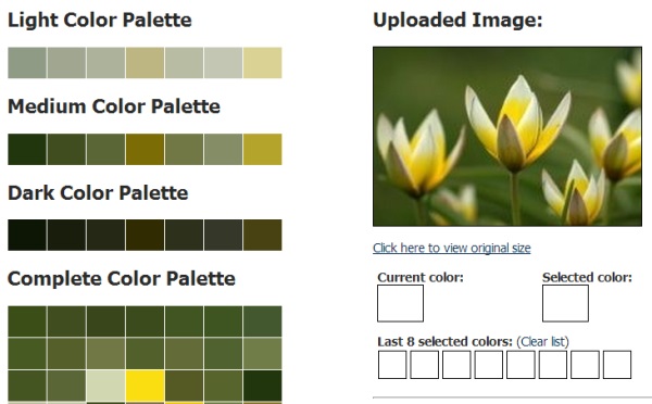color swatch generator from image