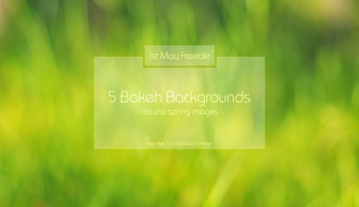 download-5-natural-bokeh-backgrounds