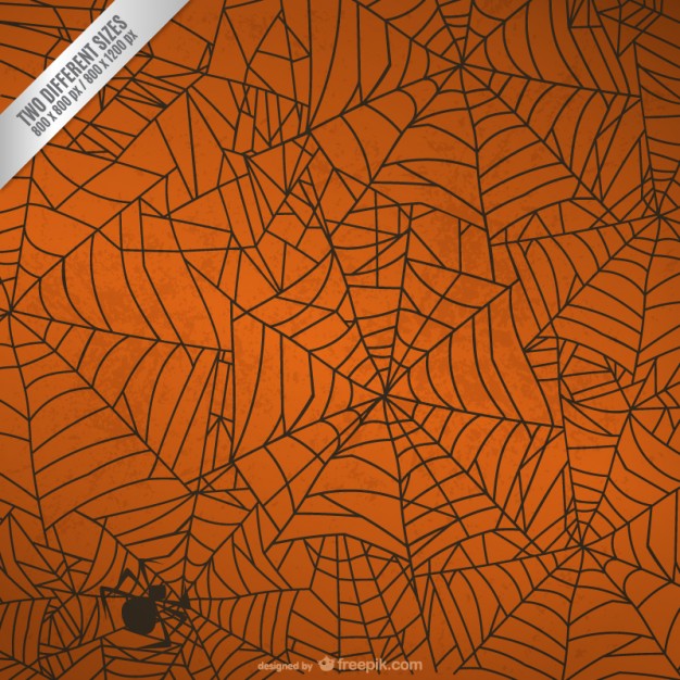 cute spider web wallpaper