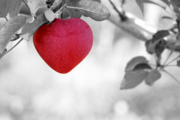 apple heart