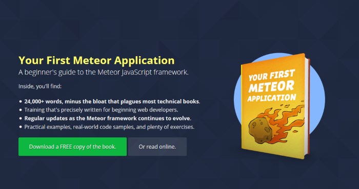 Your First Meteor Application