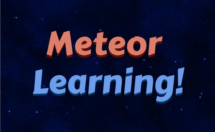 Learning Meteor