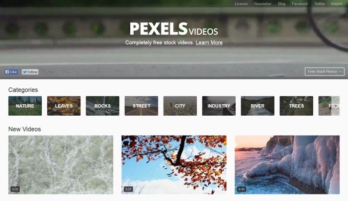 12 Free Stock Video Sites for High Quality Footages in ...