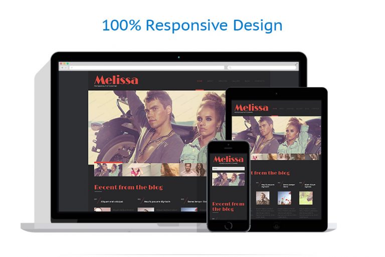 wordpress theme responsive layout