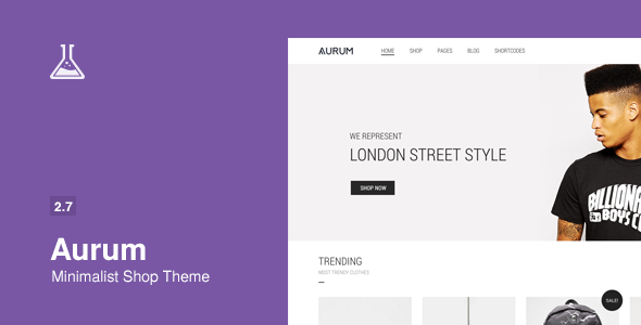 aurum-minimal-shopping-theme