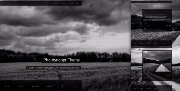 25 Responsive Tumblr Themes For Photographers Photobloggers