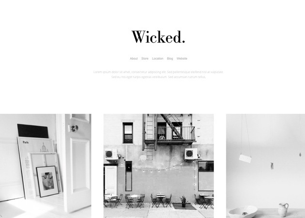 25 Responsive Tumblr Themes For Photographers Photobloggers