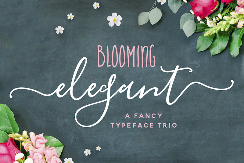 blooming-font-trio