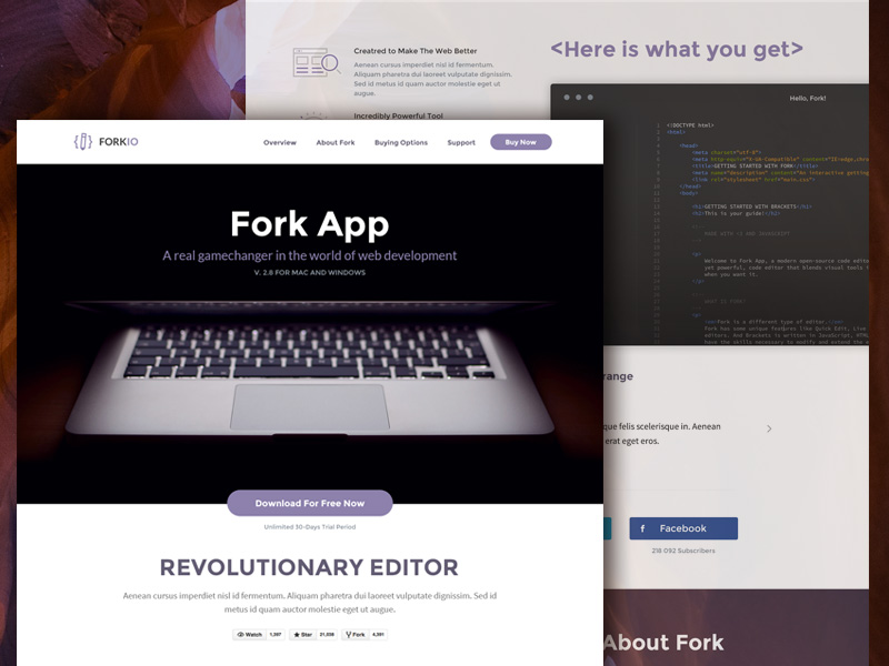 forkio-responsive-website-template