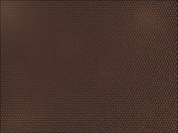 tutorial-photoshop-leather-texture