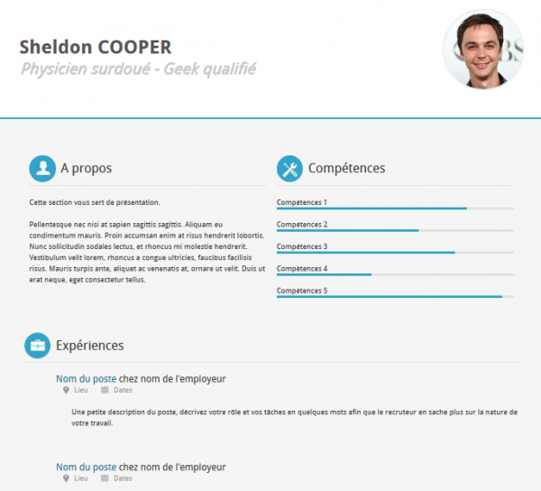 21-professional-html-css-resume-templates-for-free-download-and