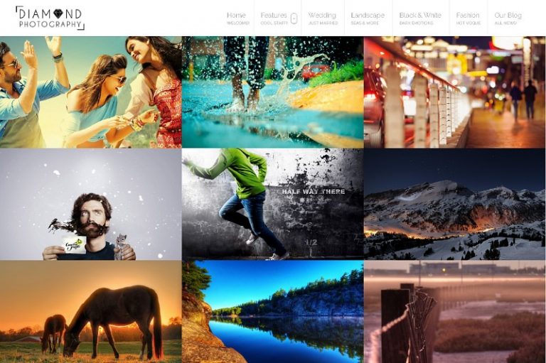 diamond wp photographer theme