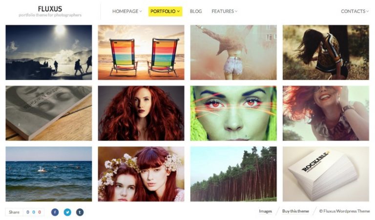 fluxus portfolio theme photographers