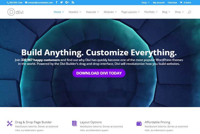 divi customizable wordpress themes