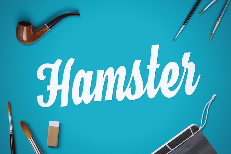 Hamster Script Font for Free Download