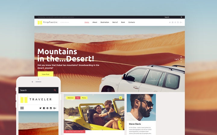 Travel WP Theme 