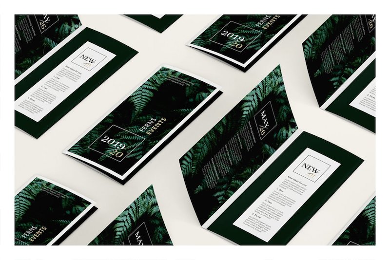 ferns trifold event brochure template