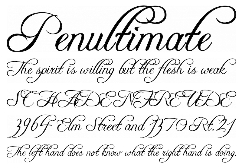 script fonts lettering