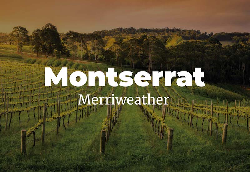 montserrat with merriweather fonts