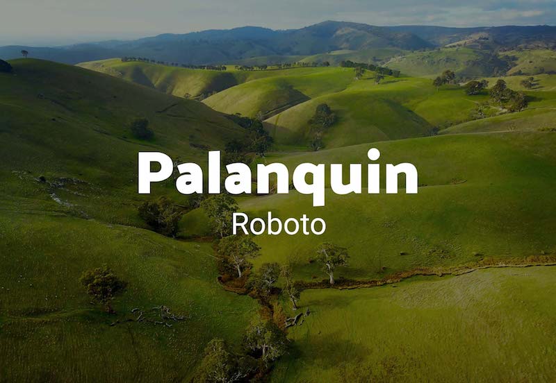 palanquin roboto font combination