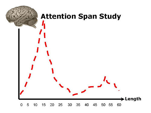 attention span study