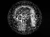 Emerging and Current Software Development Trends in 2020