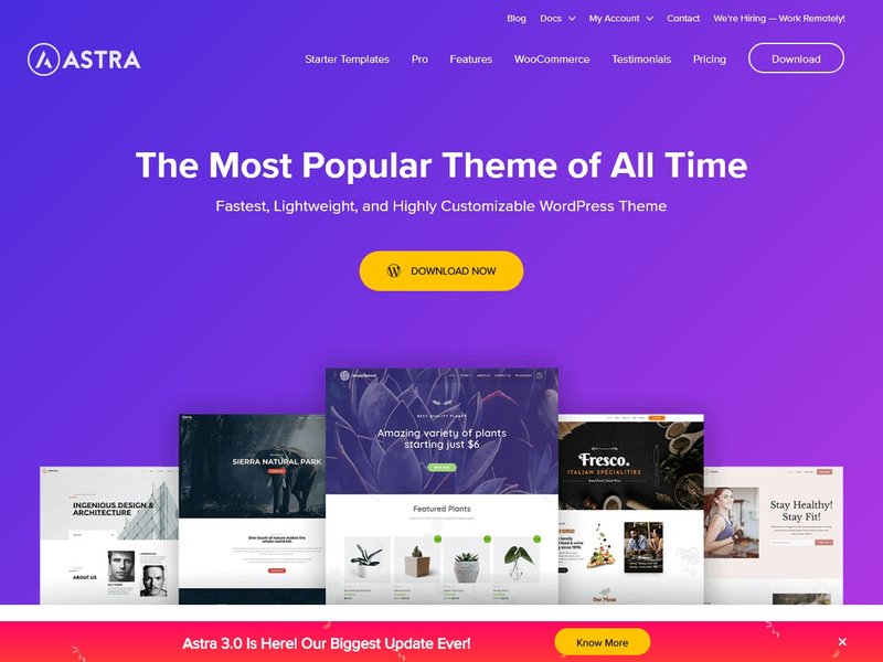 Astra Fast popular WordPress theme