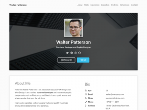 30+ Professional HTML & CSS Resume Templates for Free Download (and ...