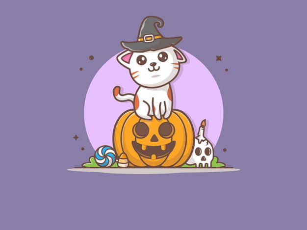 cute halloween background cat pumpkin