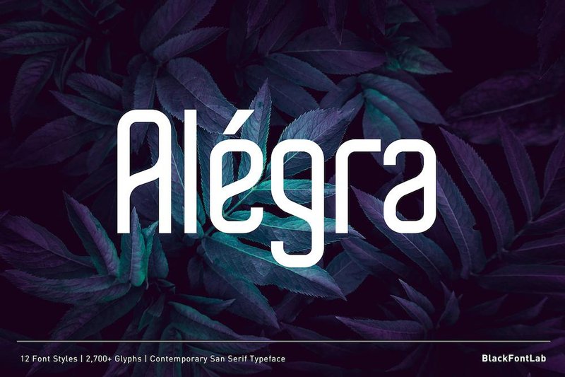 alegra regular modern sans serif font