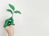 Why all Businesses Should Embrace Sustainability