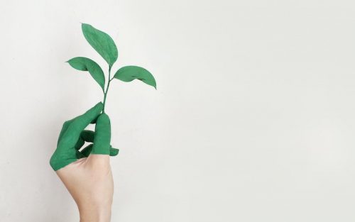 businesses embrace sustainability