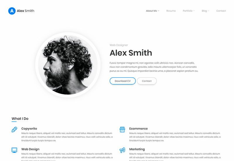 leven resume cv html template