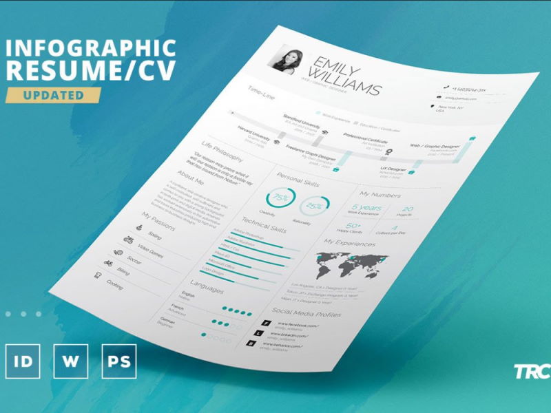 free infographic resume template word