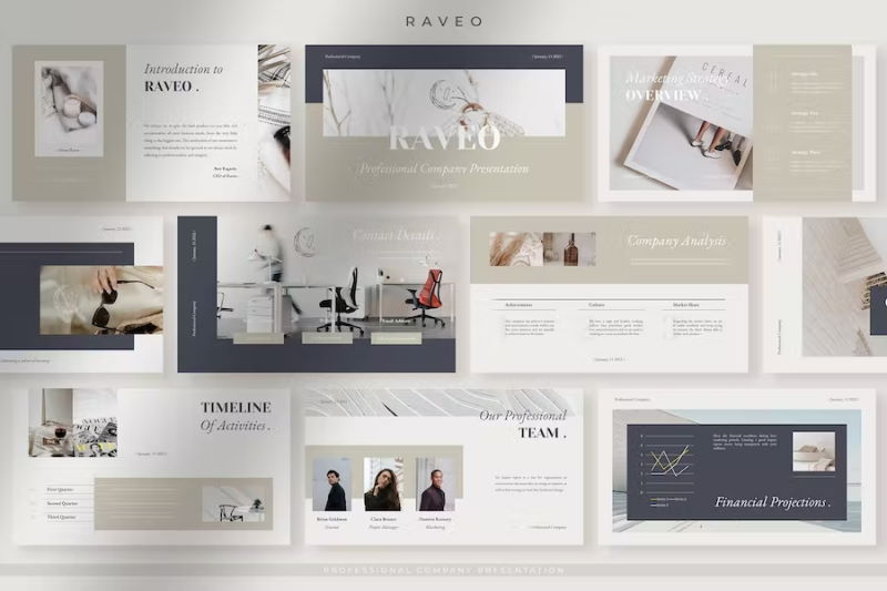 raveo professional company profiel ppt