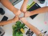 How to Foster Innovation Within Your Dev Team