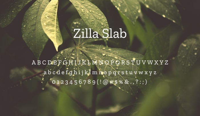 zilla slab best free serif fonts