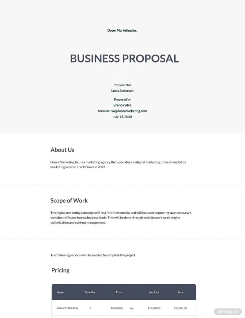 Agency Business Proposal Template