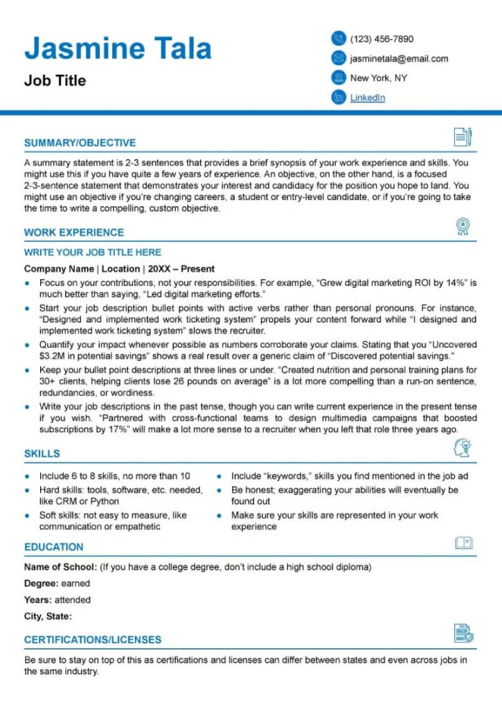 Professional Google Docs Resume Template